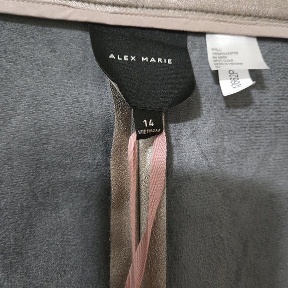 Alex Marie Metallic Silvery Gold Pants - Picture 3 of 4